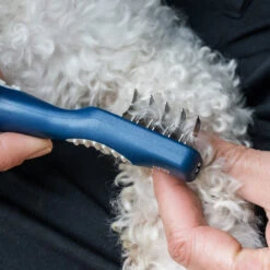 Mikki Doodle De-Matter -Huisdierbenodigdheden mikki doodle de matter 194486 2000 none