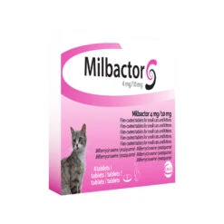 Milbactor Kat -Huisdierbenodigdheden milbactor kat 176956 1000 none
