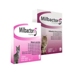 Milbactor Kat -Huisdierbenodigdheden milbactor kat 176962 1000 none