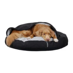 PAIKKA Recovery Burrow Bed -Huisdierbenodigdheden paikka recovery burrow bed 217913 2000 none