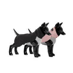 PAIKKA Recovery Winter Shirt -Huisdierbenodigdheden paikka recovery winter shirt 217785 2000 none