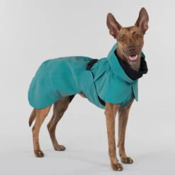 PAIKKA Visibility Raincoat Emerald 29 PAIKKA Visibility Raincoat Emerald -Huisdierbenodigdheden paikka visibility raincoat emerald 222162 2000 none