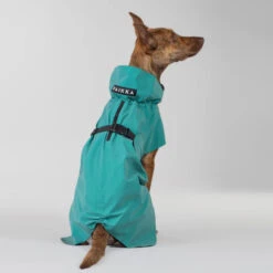 PAIKKA Visibility Raincoat Emerald 31 PAIKKA Visibility Raincoat Emerald -Huisdierbenodigdheden paikka visibility raincoat emerald 222164 2000 none