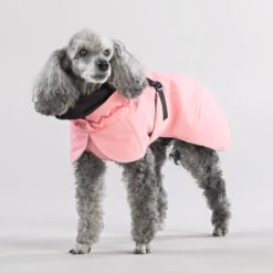 PAIKKA Visibility Winter Jacket -Huisdierbenodigdheden paikka visibility winter jacket 217799 2000 none