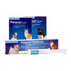 Panacur - Hond & Kat -Huisdierbenodigdheden panacur hond en kat 88405 1000 none
