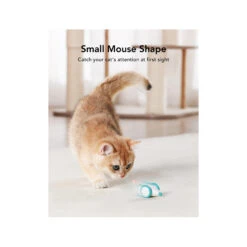 Petlibro Pixie Mouse -Huisdierbenodigdheden petlibro pixie mouse 221373 2000 none