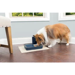PetSafe Automatic 2 Meal Pet Feeder 8 PetSafe Automatic 2 Meal Pet Feeder -Huisdierbenodigdheden petsafe automatic 2 meal pet feeder 197492 0500 none
