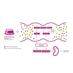 Porus One -Huisdierbenodigdheden porus one 134455 1000 none