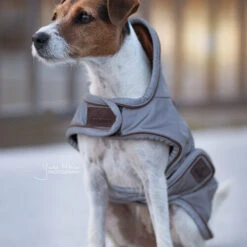 Kentucky Dog Coat Reflective & Waterrepellent -Huisdierbenodigdheden prod 15746 219013 0500 none