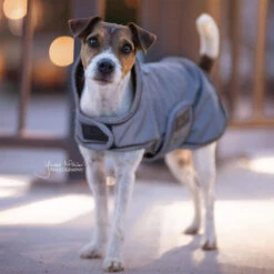 Kentucky Dog Coat Reflective & Waterrepellent -Huisdierbenodigdheden prod 15746 219014 0500 none