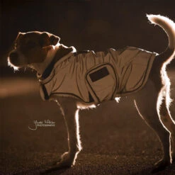 Kentucky Dog Coat Reflective & Waterrepellent -Huisdierbenodigdheden prod 15746 219015 0500 none