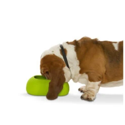 Buster Incredibowl -Huisdierbenodigdheden product buster incredibowl none 4 1479720007 80827