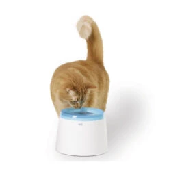 Catit Fresh & Clear Drinking Fountain -Huisdierbenodigdheden product catit fresh clear drinking fountain 2l none 4 1465984674 69903
