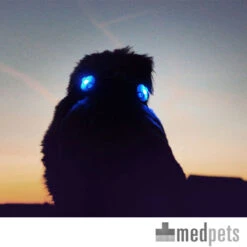 Curli Luumi -Huisdierbenodigdheden product curli luumi none 4 1497346293 87283