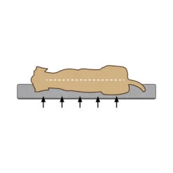 Beeztees Orthopedische Hondenkussen Zira -Huisdierbenodigdheden rT80hvdY5h1U8brY2a0OirJ739Ia6x metaQmVlenRlZXMtTWVtb3J5LUZvYW0tVW1hLUhvbmRlbm1hbmQtb3J0aG9wZWRpc2NoLTIuanBn