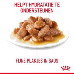Royal Canin Digestive Care In Gravy - Kattenvoer 17 Royal Canin Digestive Care In Gravy - Kattenvoer -Huisdierbenodigdheden rUL1NOqw0a3UObo7KF304Pj5p1XkPe metaUm95YWwtQ2FuaW4tSGFpcmJhbGwtQ2FyZS1pbi1HcmF2eV8wMS5qcGc