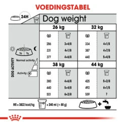 Royal Canin Maxi Dental Care - Hondenvoer -Huisdierbenodigdheden royal canin dental care maxi hondenvoer 130895 1000 none