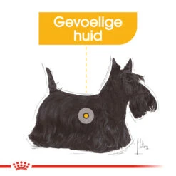 Royal Canin Dermacomfort Wet - Hondenvoer 15 Royal Canin Dermacomfort Wet - Hondenvoer -Huisdierbenodigdheden royal canin dermacomfort wet hondenvoer 131624 1000 none