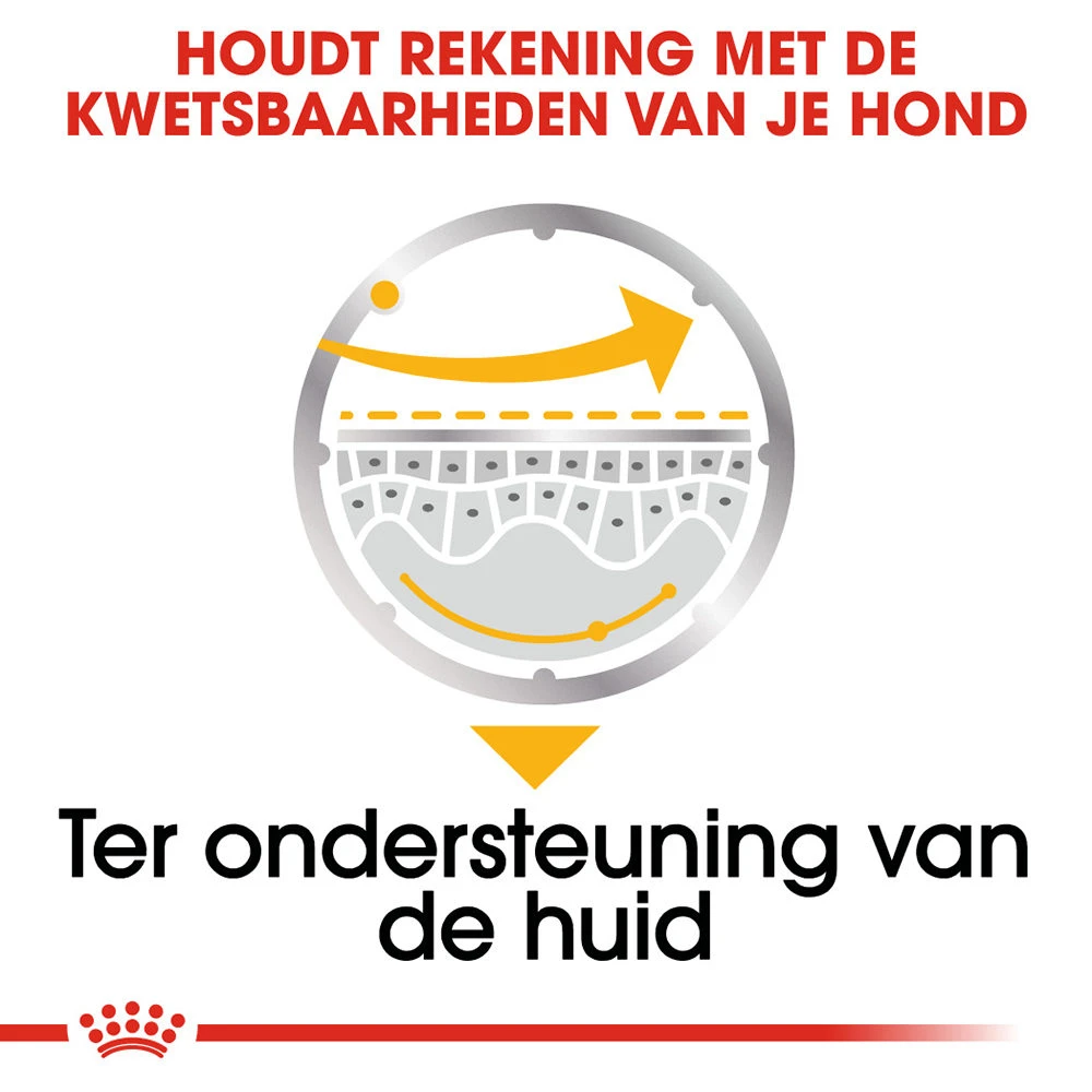 Royal Canin Dermacomfort Wet - Hondenvoer 6 Royal Canin Dermacomfort Wet - Hondenvoer - Afbeelding 6
