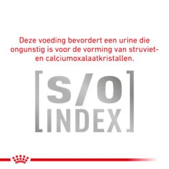Royal Canin Diabetic Kat - Maaltijdzakje -Huisdierbenodigdheden royal canin diabetic kat 156692 2000 none