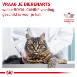 Royal Canin Diabetic Kat - Maaltijdzakje -Huisdierbenodigdheden royal canin diabetic kat 156701 2000 none