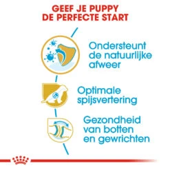 Royal Canin German Shepherd Puppy- Hondenvoer -Huisdierbenodigdheden royal canin german shepherd puppy hondenvoer 138835 1000 none