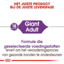 Royal Canin Giant Adult - Hondenvoer -Huisdierbenodigdheden royal canin giant adult hondenvoer 128390 1000 none