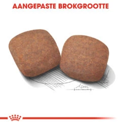 Royal Canin Giant Adult - Hondenvoer -Huisdierbenodigdheden royal canin giant adult hondenvoer 128399 1000 none