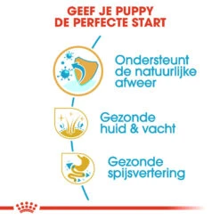 Royal Canin Golden Retriever Puppy - Hondenvoer -Huisdierbenodigdheden royal canin golden retriever puppy hondenvoer 138955 1000 none