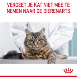 Royal Canin Hairball Care In Jelly - Kattenvoer -Huisdierbenodigdheden royal canin hairball care in jelly kattenvoer 224002 2000 none