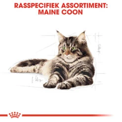 Royal Canin Maine Coon Adult Wet - Kattenvoer -Huisdierbenodigdheden royal canin maine coon adult wet kattenvoer 126020 1000 none