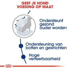 Royal Canin Maxi Ageing 8+ - Hondenvoer -Huisdierbenodigdheden royal canin maxi ageing 8 hondenvoer 128711 1000 none