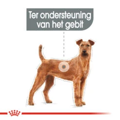 Royal Canin Medium Dental Care - Hondenvoer -Huisdierbenodigdheden royal canin medium dental care hondenvoer 144206 1000 none