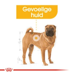 Royal Canin Medium Dermacomfort - Hondenvoer -Huisdierbenodigdheden royal canin medium dermacomfort hondenvoer 143279 1000 none