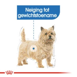 Royal Canin Mini Light Weight Care - Hondenvoer -Huisdierbenodigdheden royal canin mini light weight care hondenvoer 132731 1000 none