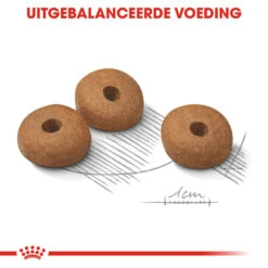 Royal Canin Mini Light Weight Care - Hondenvoer -Huisdierbenodigdheden royal canin mini light weight care hondenvoer 132749 1000 none