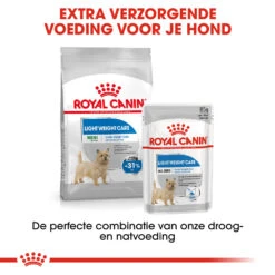 Royal Canin Mini Light Weight Care - Hondenvoer -Huisdierbenodigdheden royal canin mini light weight care hondenvoer 132758 1000 none