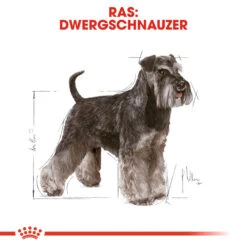 Royal Canin Mini Schnauzer Adult - Hondenvoer -Huisdierbenodigdheden royal canin mini schnauzer adult hondenvoer 140080 1000 none
