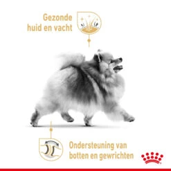 Royal Canin Pomeranian Adult - Hondenvoer -Huisdierbenodigdheden royal canin pomeranian adult hondenvoer 168921 2000 none