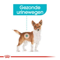 Royal Canin Urinary Care Wet - Hondenvoer 13 Royal Canin Urinary Care Wet - Hondenvoer -Huisdierbenodigdheden royal canin urinary care wet hondenvoer 131930 1000 none