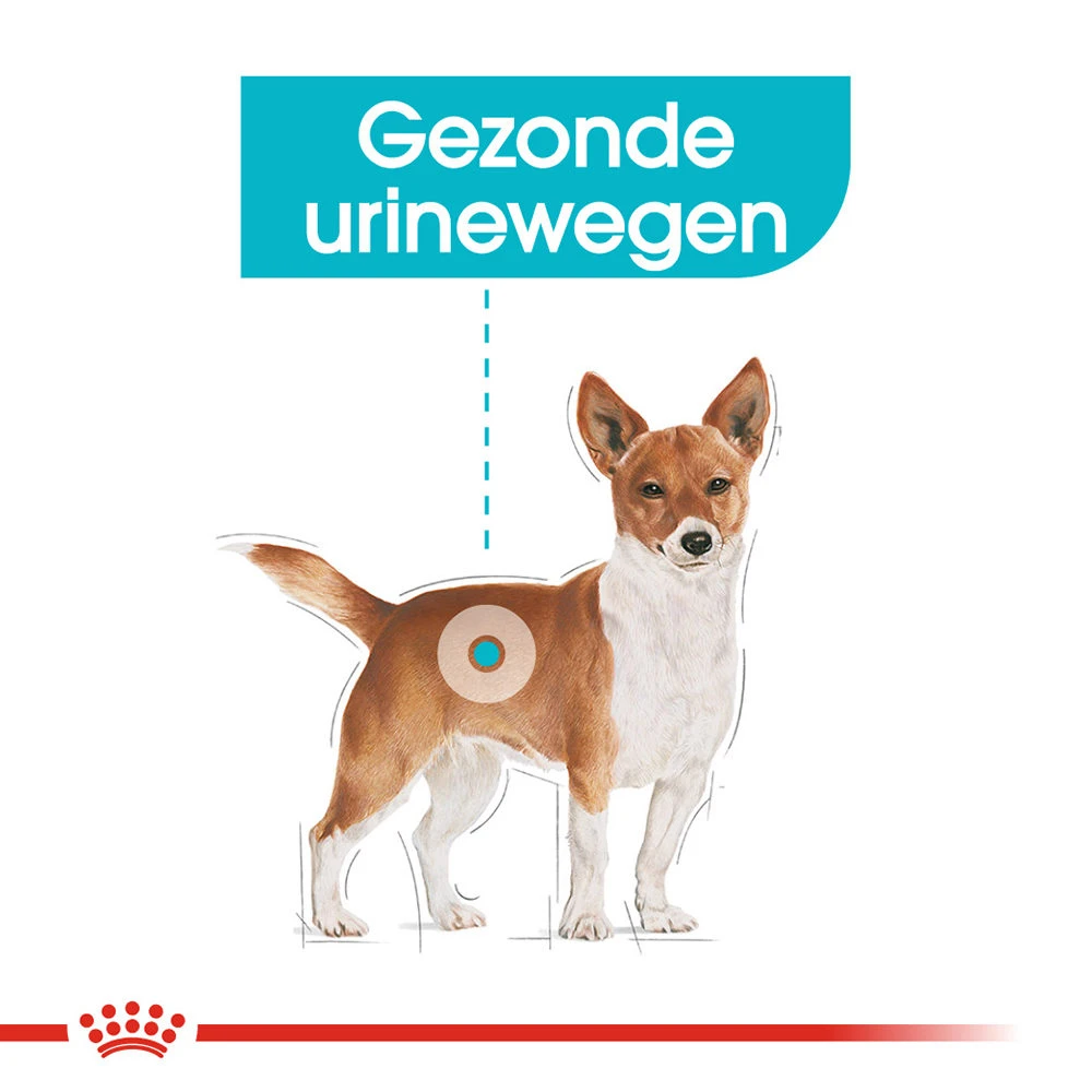 Royal Canin Urinary Care Wet - Hondenvoer 4 Royal Canin Urinary Care Wet - Hondenvoer - Afbeelding 4