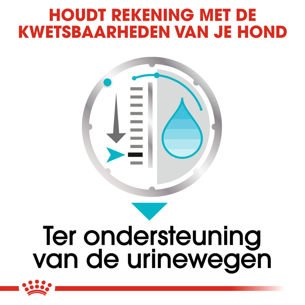 Royal Canin Urinary Care Wet - Hondenvoer 5 Royal Canin Urinary Care Wet - Hondenvoer - Afbeelding 5