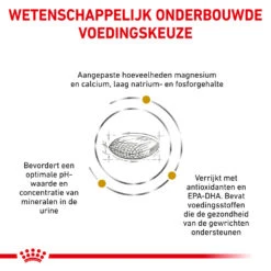 Royal Canin Urinary S/O Ageing 7+ Hond 18 Royal Canin Urinary S/O Ageing 7+ Hond -Huisdierbenodigdheden royal canin urinary so ageing 7 hond 153733 1000 none