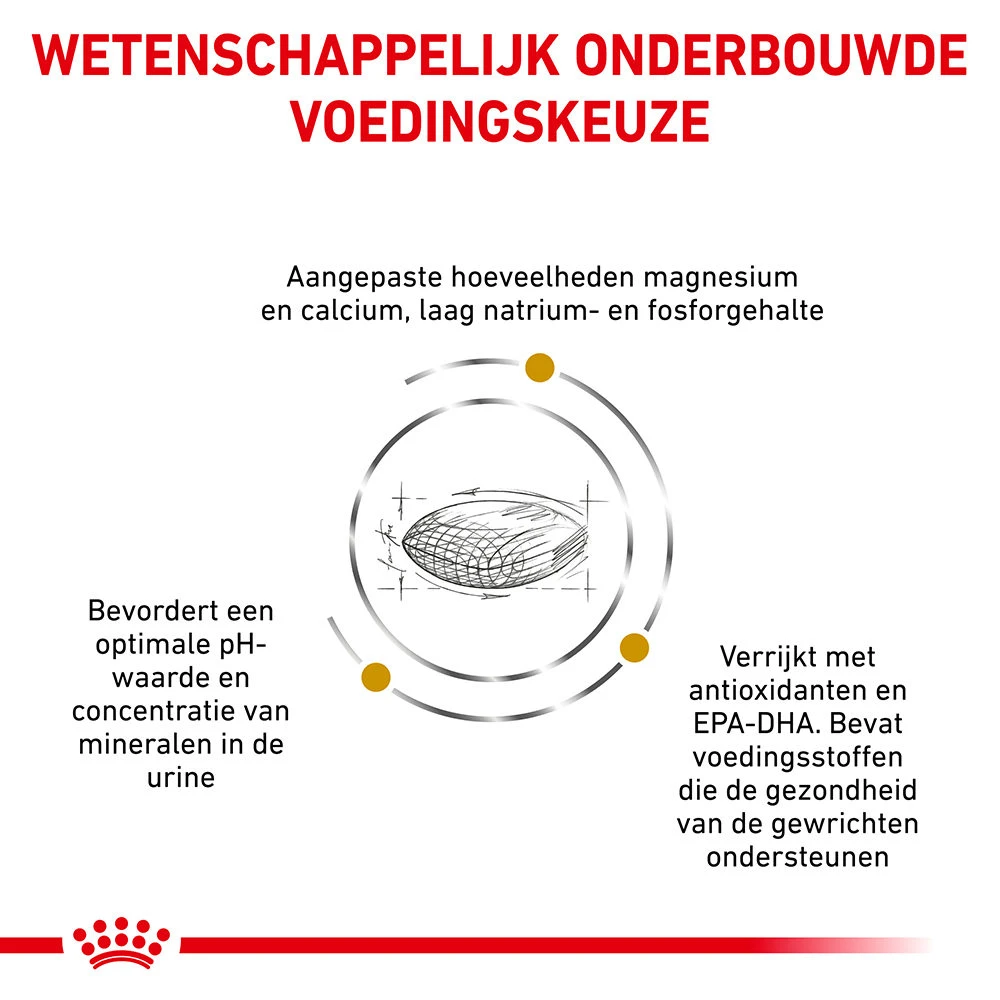Royal Canin Urinary S/O Ageing 7+ Hond 7 Royal Canin Urinary S/O Ageing 7+ Hond - Afbeelding 7