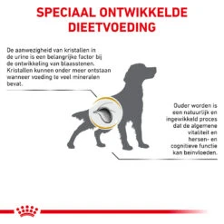 Royal Canin Urinary S/O Ageing 7+ Hond 17 Royal Canin Urinary S/O Ageing 7+ Hond -Huisdierbenodigdheden royal canin urinary so ageing 7 hond 153751 1000 none