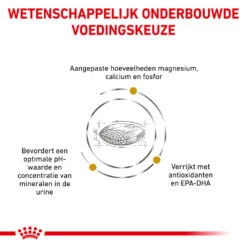 Royal Canin Urinary S/O Hond - Maaltijdzakje 11 Royal Canin Urinary S/O Hond - Maaltijdzakje -Huisdierbenodigdheden royal canin urinary so hond 153679 1000 none 1