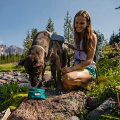 Ruffwear Flat Out Dog Collar - Alpenglow Burst -Huisdierbenodigdheden ruffwear flat out dog collar alpenglow burst 204812 0500 none