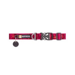 Ruffwear Flat Out Dog Collar - Alpenglow Burst -Huisdierbenodigdheden ruffwear flat out dog collar alpenglow burst 204824 0500 none