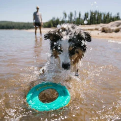 Ruffwear Hydro Plane Floating Throw Toy -Huisdierbenodigdheden ruffwear hydro plane floating throw toy 200822 2000 none