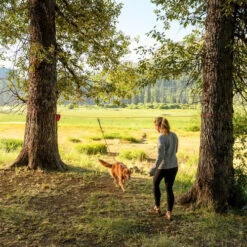 Ruffwear Knot-a-Hitch -Huisdierbenodigdheden ruffwear knot a hitch 124643 0500 none